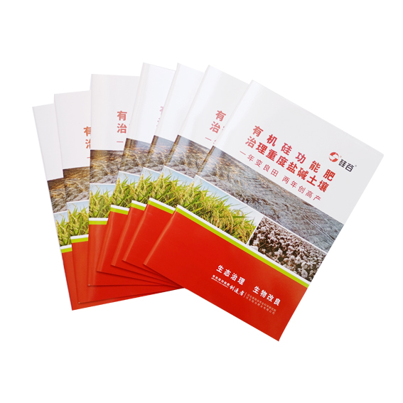 企業畫冊